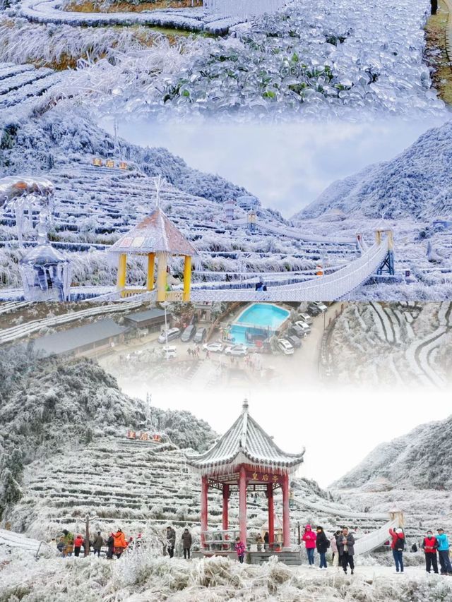 廣東也能看到雪，不是親眼目睹都不相信
