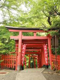 6日探秘日本 溫泉之旅不重樣