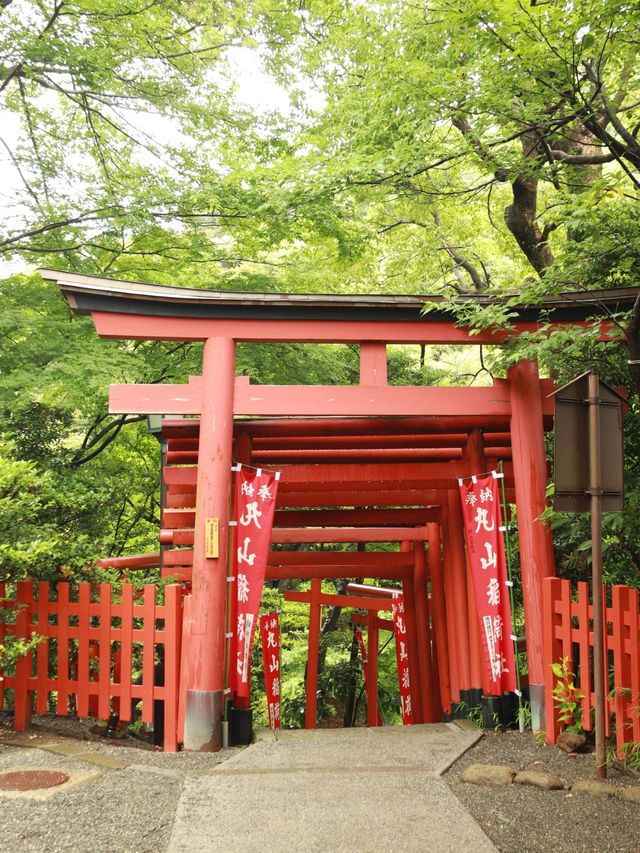 6日探秘日本 溫泉之旅不重樣