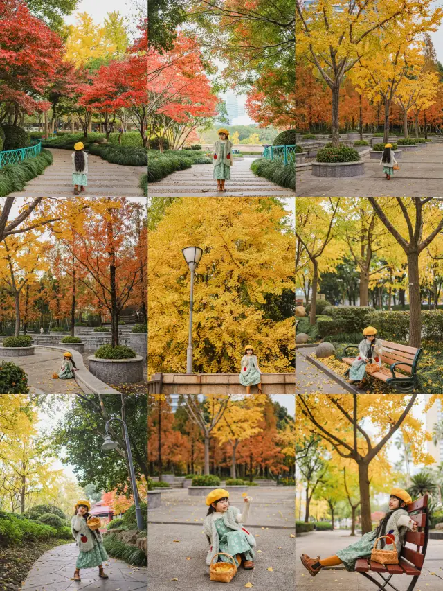 Weekend crowds? Not here! A hidden ginkgo viewing spot in Shanghai