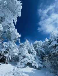 到看雪山的季節啦！！！
