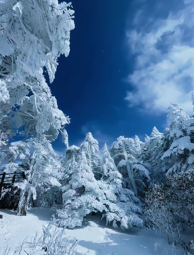 到看雪山的季節啦！！！