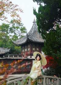 上海賞葉：桂林公園的紅葉與銀杏，12.7拍攝