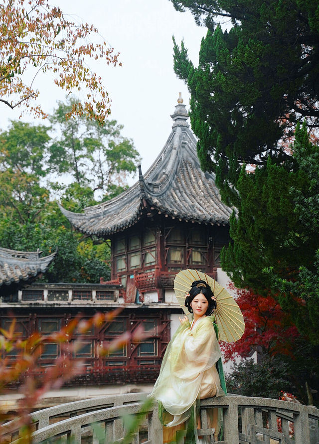 上海賞葉：桂林公園的紅葉與銀杏，12.7拍攝