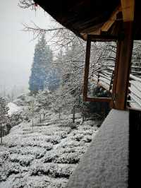 碧峰峽野奢之旅 | 暮雲春樹民宿遇見雪中的冬日戀歌