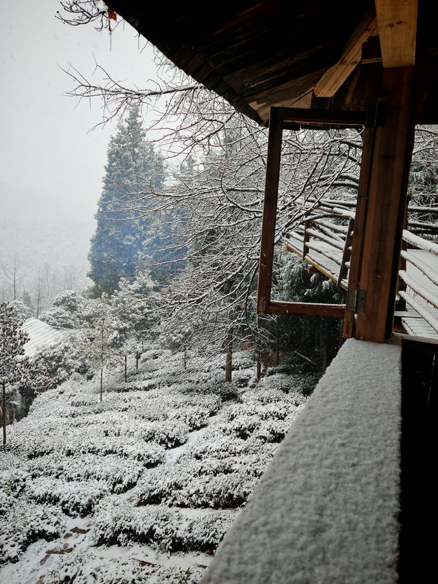 碧峰峽野奢之旅 | 暮雲春樹民宿遇見雪中的冬日戀歌