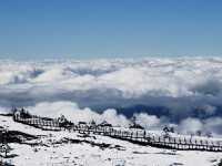 雲南昆明轎子雪山｜治癒你的巍峨壯麗雪世界