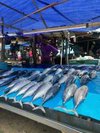 Sri Lanka | Mirissa Whale Watching Guide