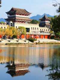 重慶這個大型濕地公園，水杉斑斕美如油畫！