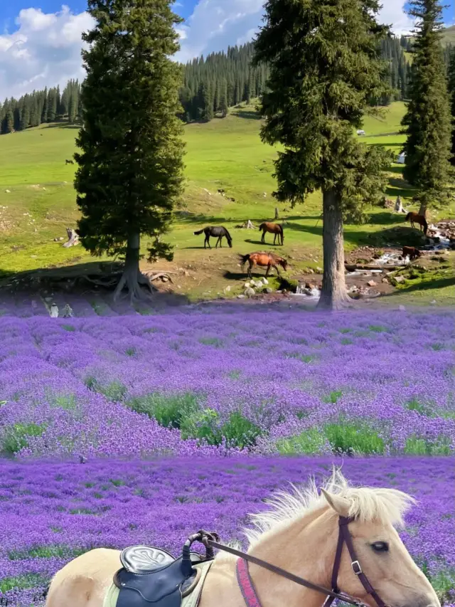 อิลี่ในซินเจียง - เจียงหนานนอกกำแพง