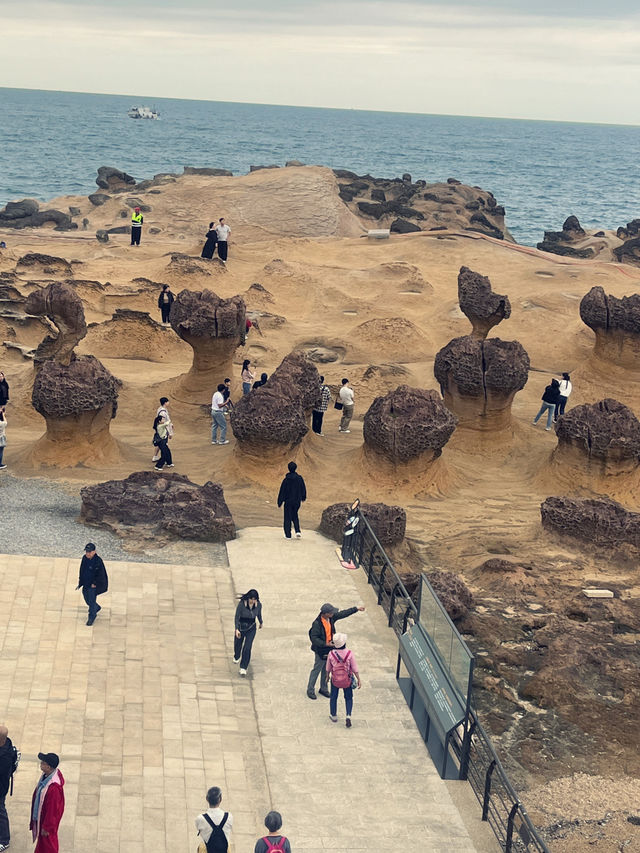 대만에 바다와 자연이 만든 독특한 바위 지질공원 🪨