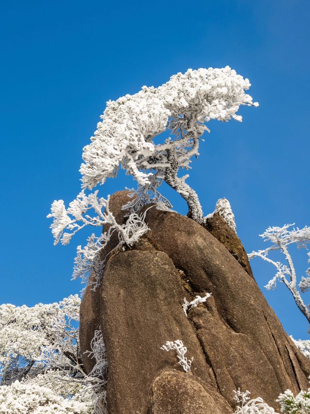 跨年要去江西南昌-廬山-景德鎮旅遊攻略來啦