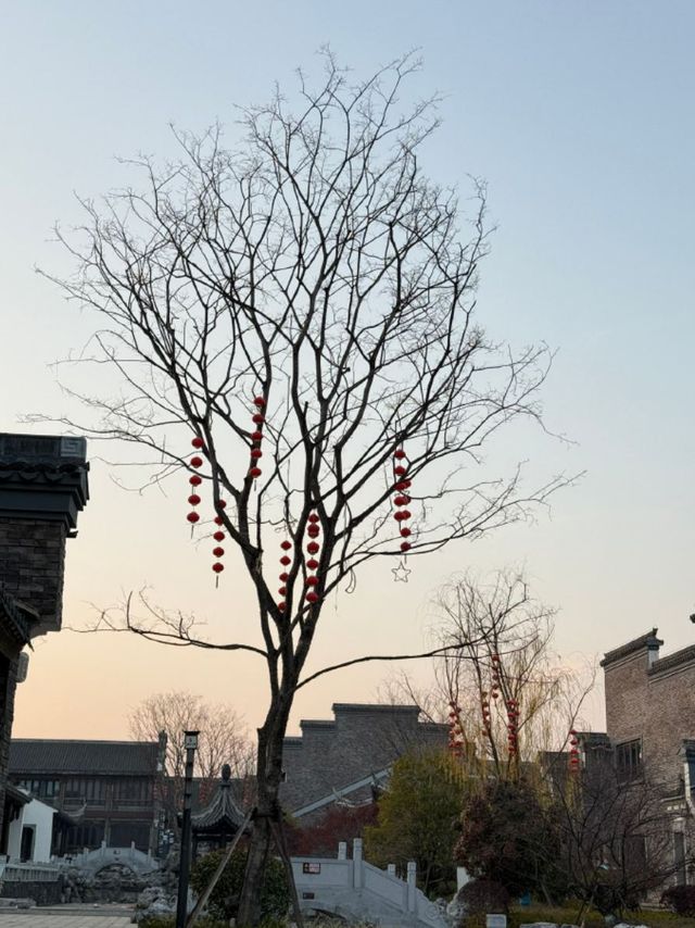 上饶·鄱陽湖：水韻天成，自然之美