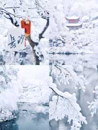 零差評的四座城市，暖城VS雪景。