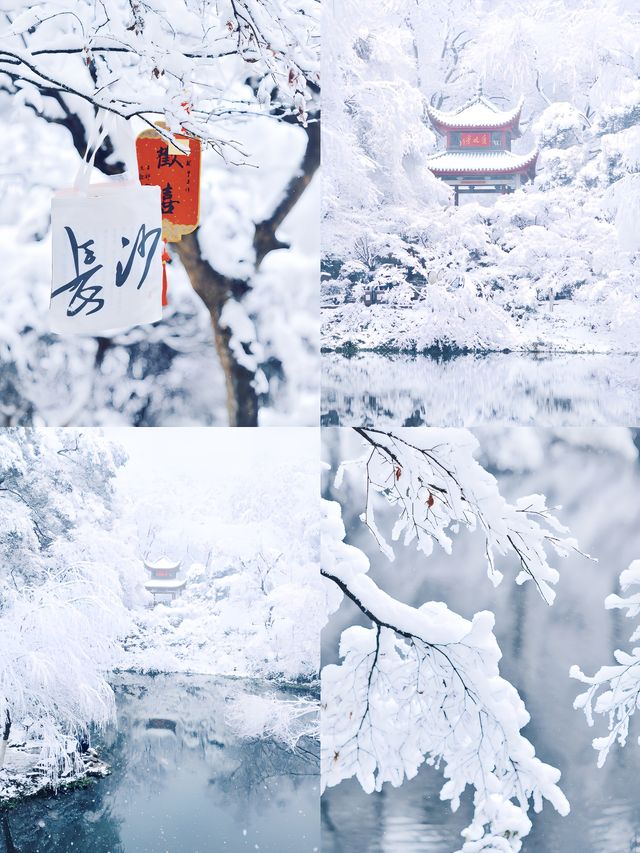 零差評的四座城市，暖城VS雪景。