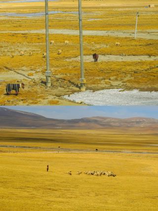 Z165進藏列車真實體驗