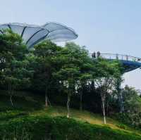 打卡廣州雲蘿植物園