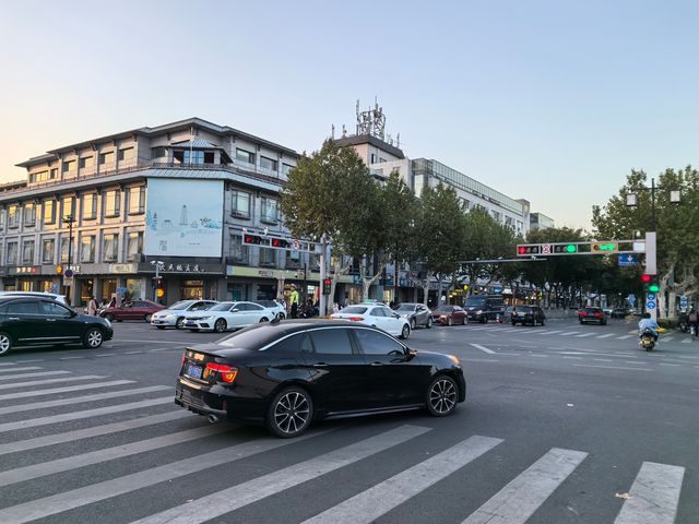 道前街賞銀杏