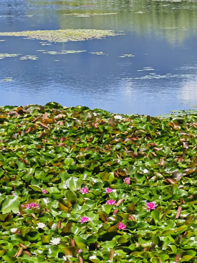 Lijiang 2-Day Winter Vacation Itinerary