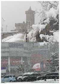 有被威海的雪景震撼到~