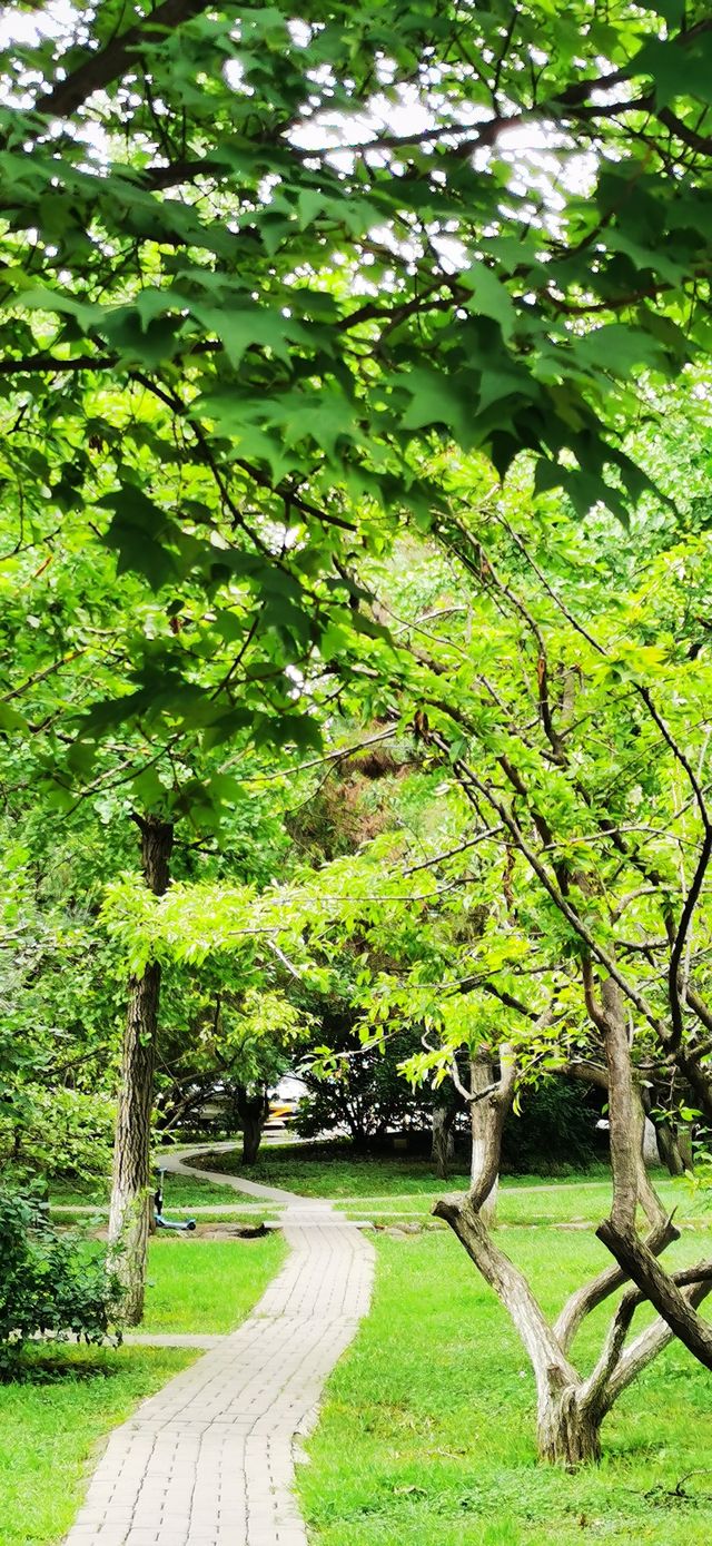 集安•高句麗遺址公園