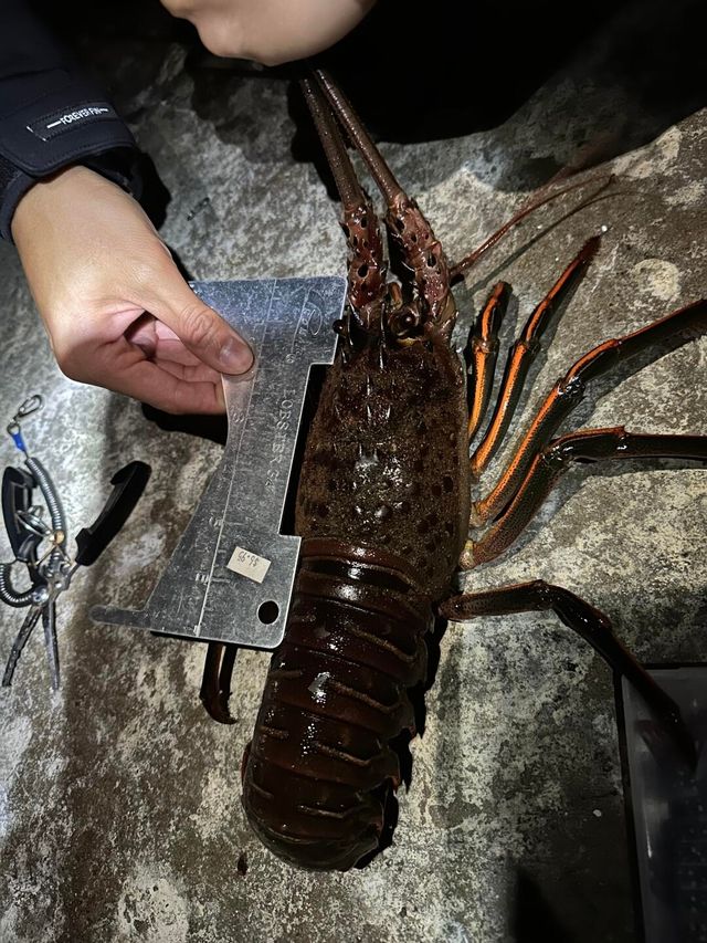 洛杉磯最佳捕魚地點盤點