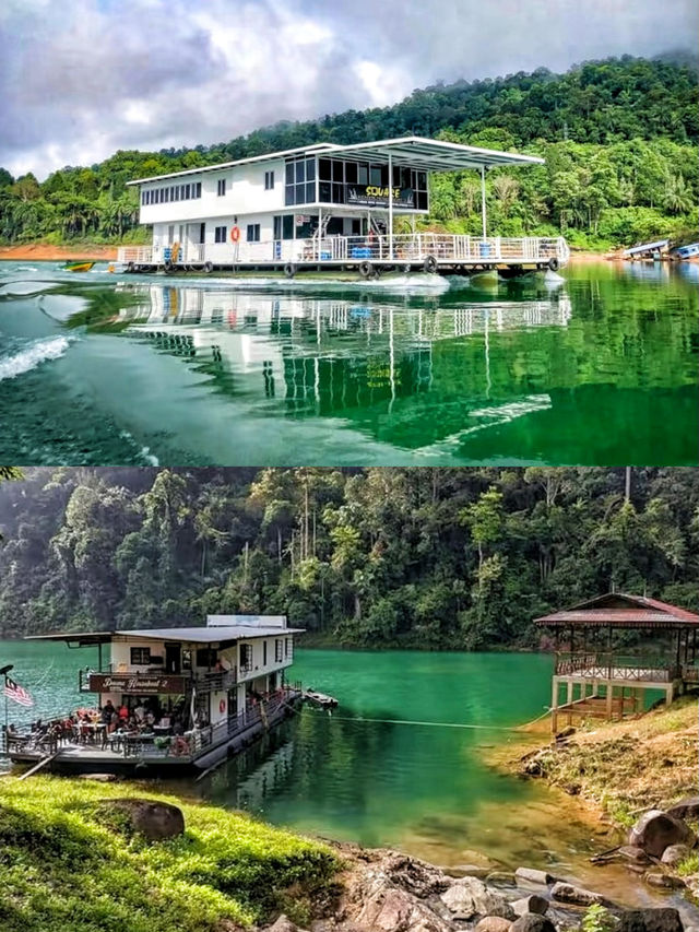 原生態雨林探險發現大自然中的千姿百態