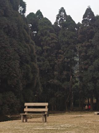 Yin days at Darong Mountain have their own charm!