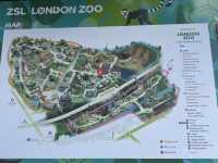 Exploring the Unique Experience at London Zoo