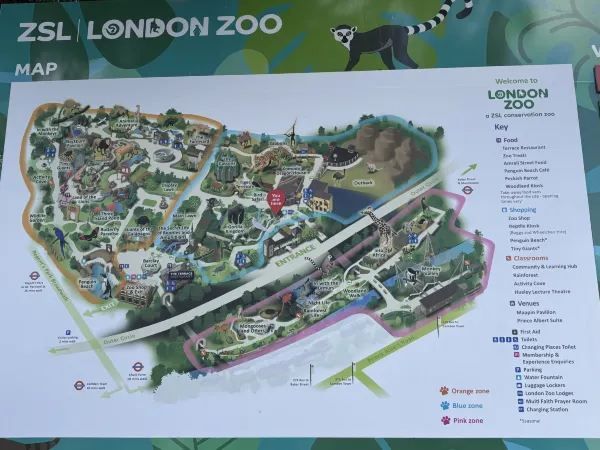 Exploring the Unique Experience at London Zoo