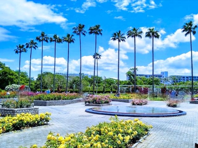 大阪市立自然史博物館