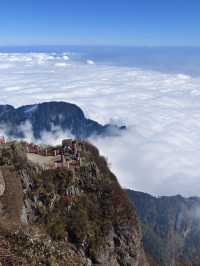 峨眉山-樂山-都江堰帶娃尋熊貓超全旅遊攻略