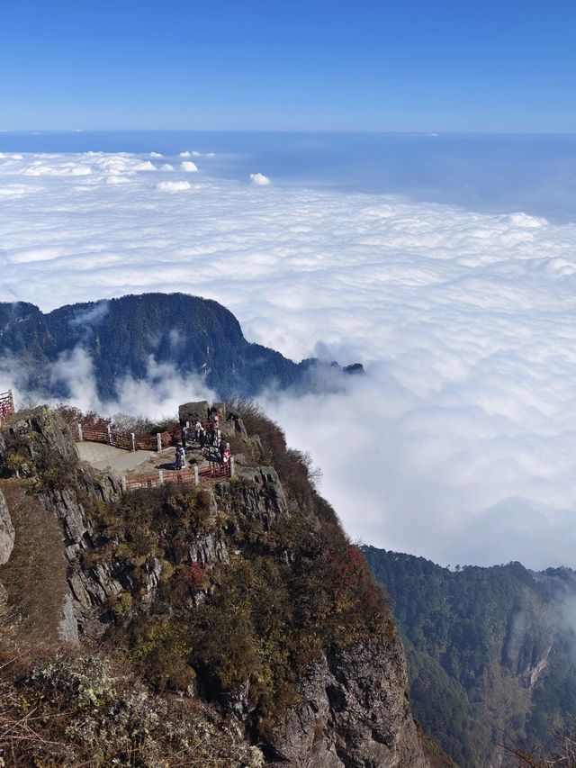 峨眉山-樂山-都江堰帶娃尋熊貓超全旅遊攻略