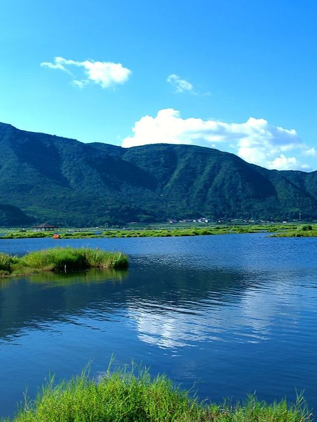 保山5日遊 超詳細全攻略