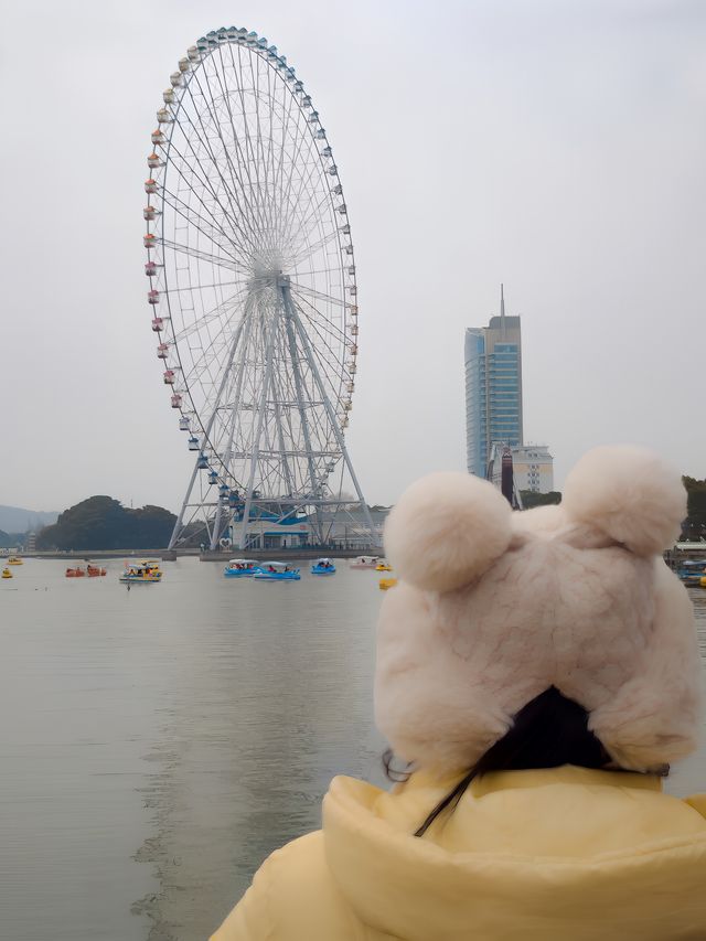 無錫親子遊‖蠡湖大橋餵海鷗水上摩天輪