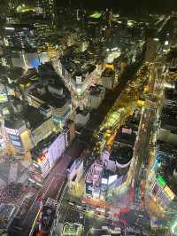 東京行程｜豪德寺與澀谷一日遊