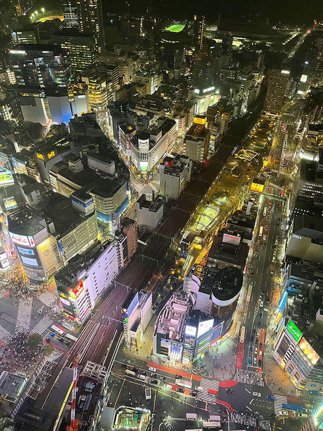 東京行程｜豪德寺與澀谷一日遊