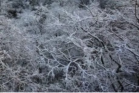 四川寶藏遛娃地！邛崃天台山雪景親子遊全攻略