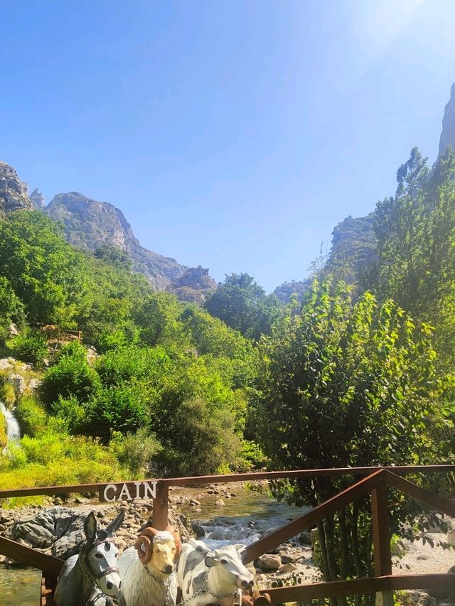 🌄 Escape to Spain’s Hidden Alps: Picos de Europa! 🌿