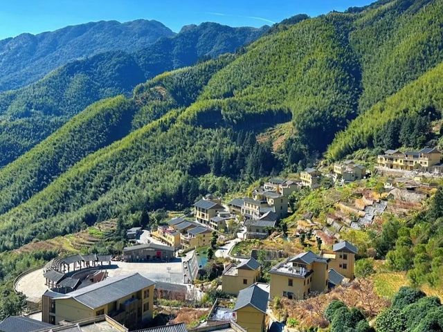 在廣東一處竹海秘境的世外桃源。