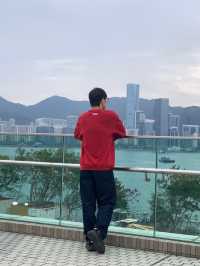 香港賞花必看的紫花風鈴木開了！