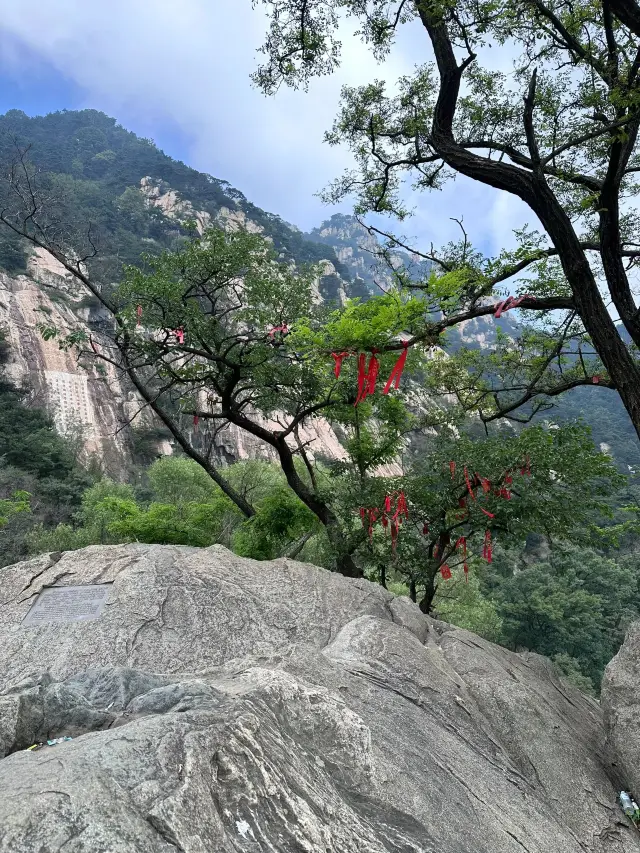 3天玩轉山東曲阜-泰山-濟南 超實用攻略來襲