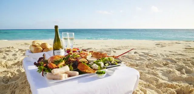 산호 탐험의 7일 여행