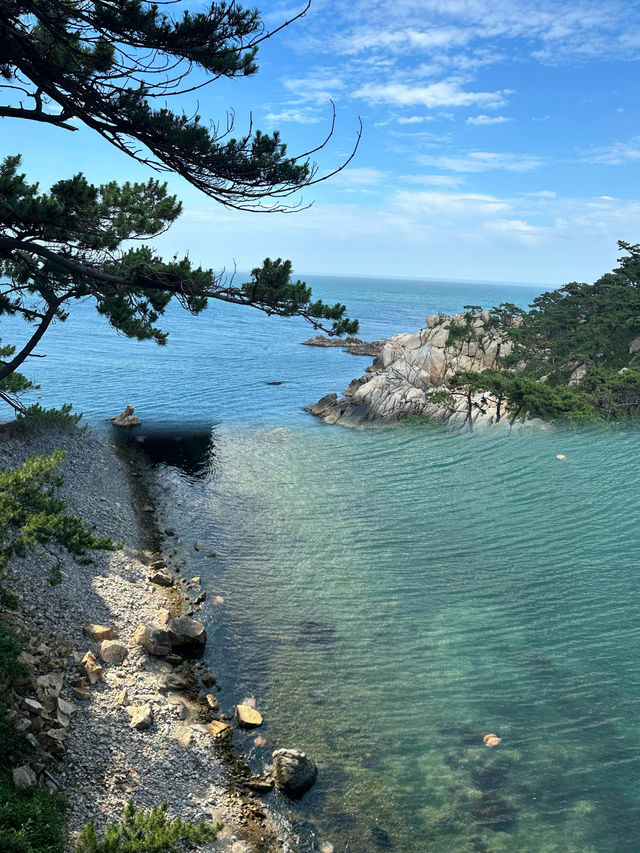 釜山出發蔚山一日遊攻略來啦