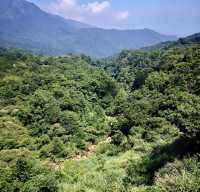 台北陽明山國家公園｜自然野趣與地質奇觀之旅