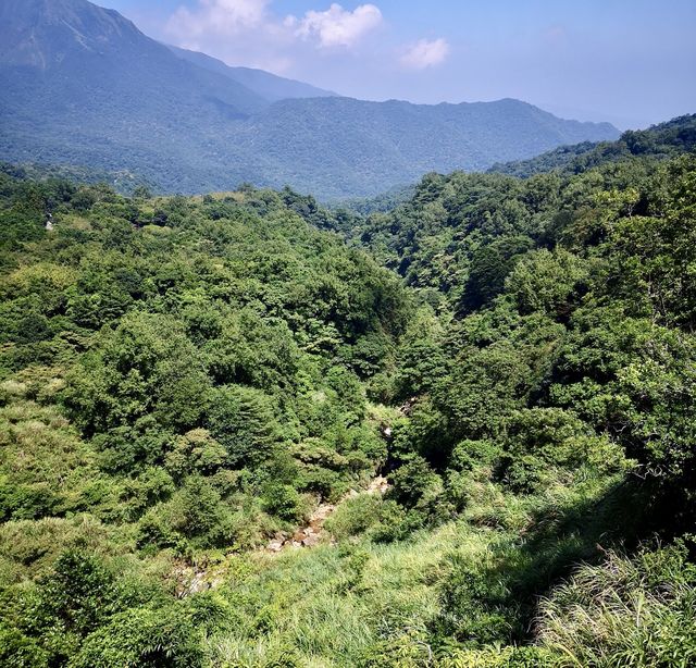 台北陽明山國家公園｜自然野趣與地質奇觀之旅
