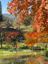 廣州出發1.5h直達廣東紅色天花板