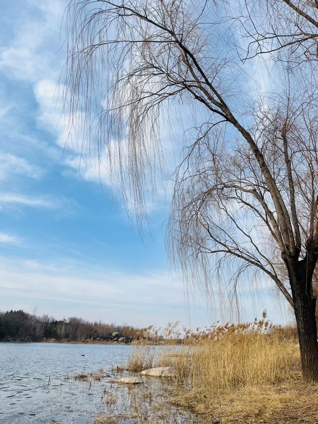 鄭州周邊遊｜滎陽索河郊野公園