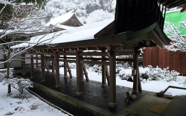 【京都· 龍安寺雪景·2025】