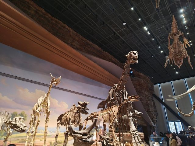 旅行日記丨河北→保定【中國古動物館】